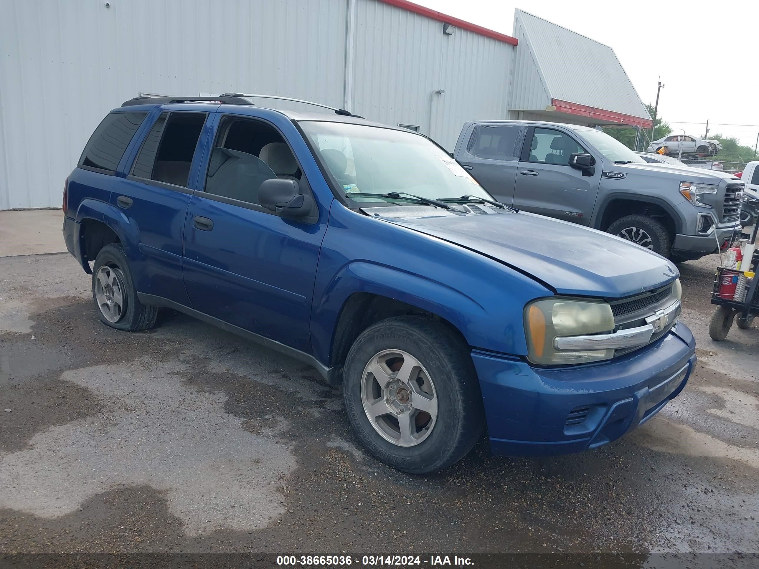 CHEVROLET TRAILBLAZER 2006 1gndt13s662260466