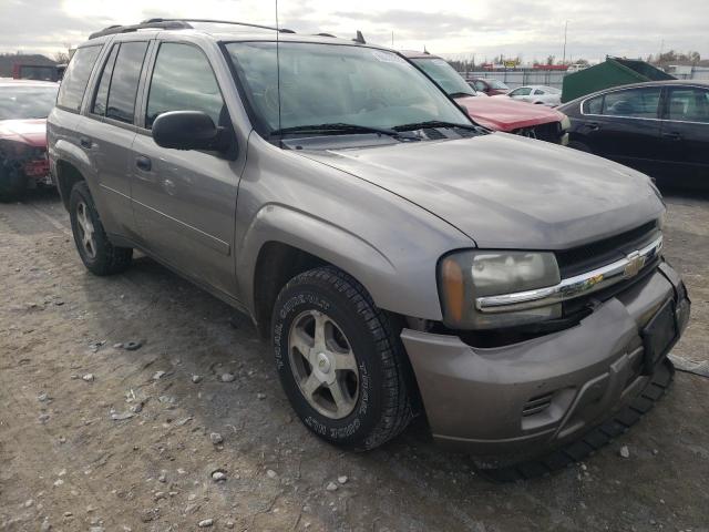 CHEVROLET TRAILBLZR 2006 1gndt13s662273217