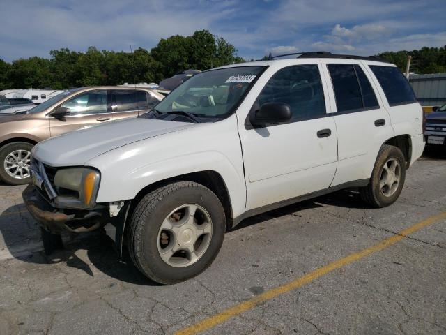 CHEVROLET TRAILBLAZE 2006 1gndt13s662345579