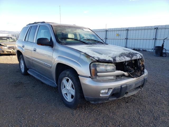 CHEVROLET TRAILBLAZE 2002 1gndt13s722243704