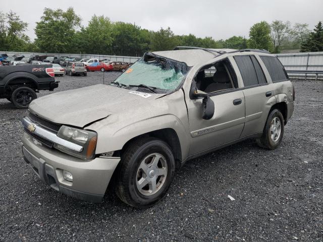 CHEVROLET TRAILBLAZE 2003 1gndt13s732218481