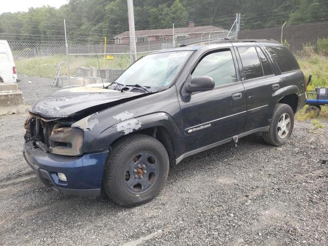 CHEVROLET TRAILBLAZE 2003 1gndt13s732261654