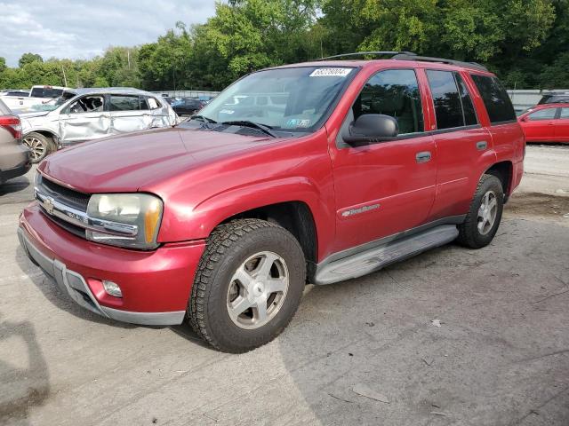 CHEVROLET TRAILBLAZE 2003 1gndt13s732343464