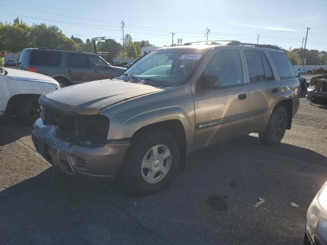 CHEVROLET TRAILBLAZE 2003 1gndt13s732349331