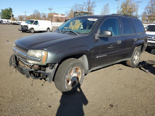 CHEVROLET TRAILBLAZE 2003 1gndt13s732354898