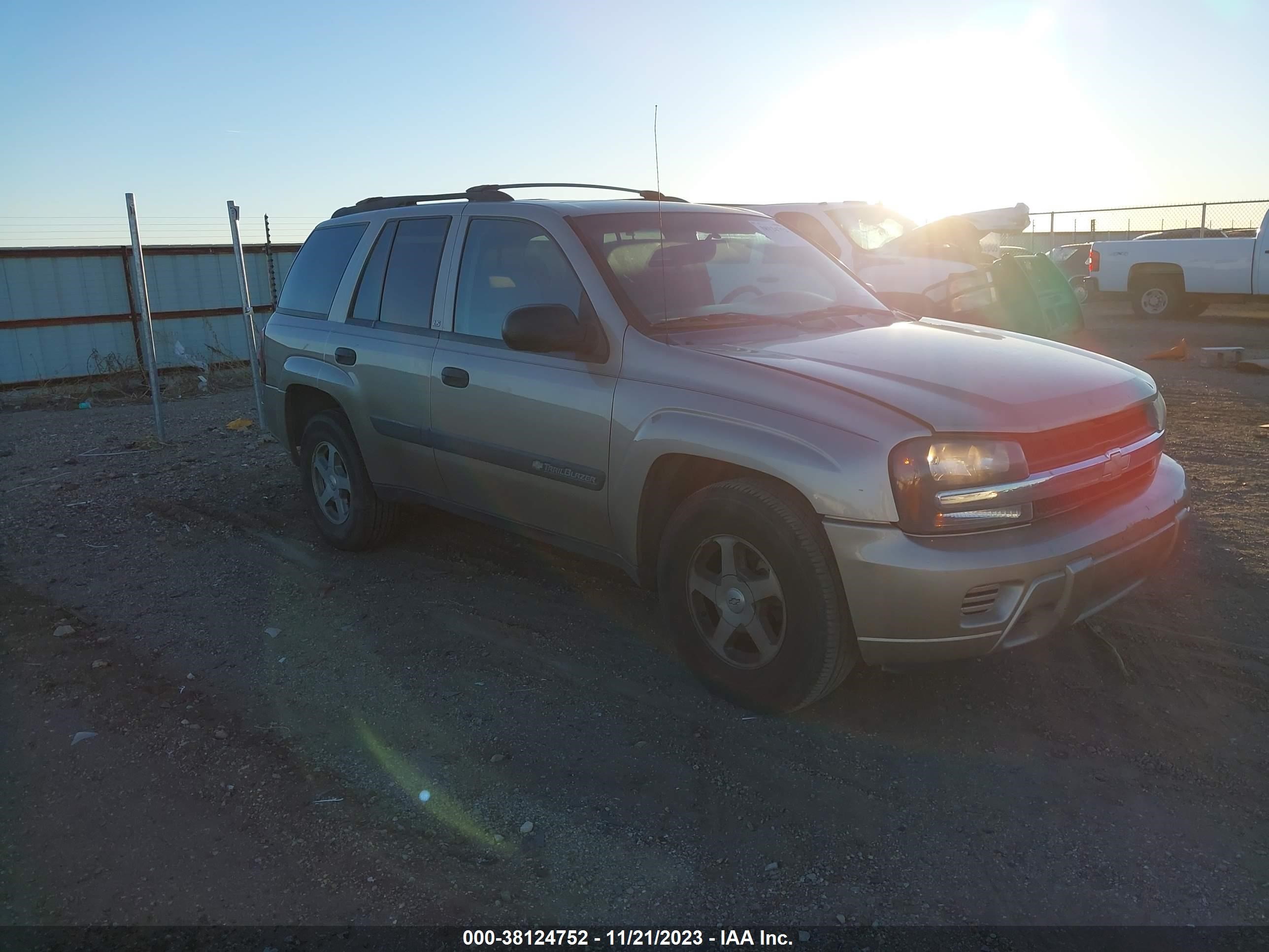 CHEVROLET TRAILBLAZER 2004 1gndt13s742317996