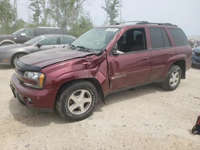 CHEVROLET TRAILBLAZE 2004 1gndt13s742336225