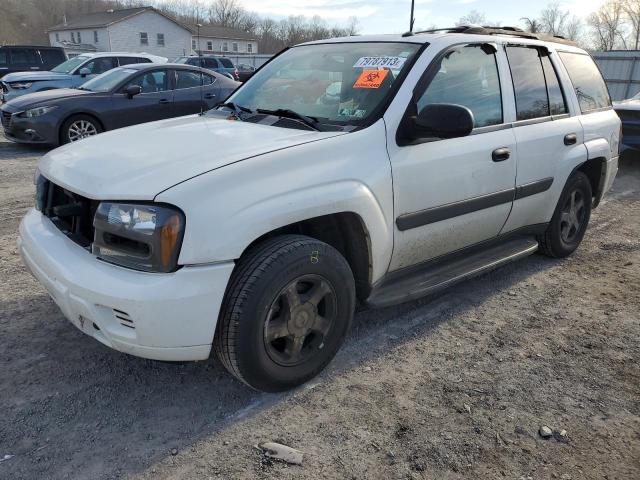 CHEVROLET TRAILBLZR 2005 1gndt13s752122109