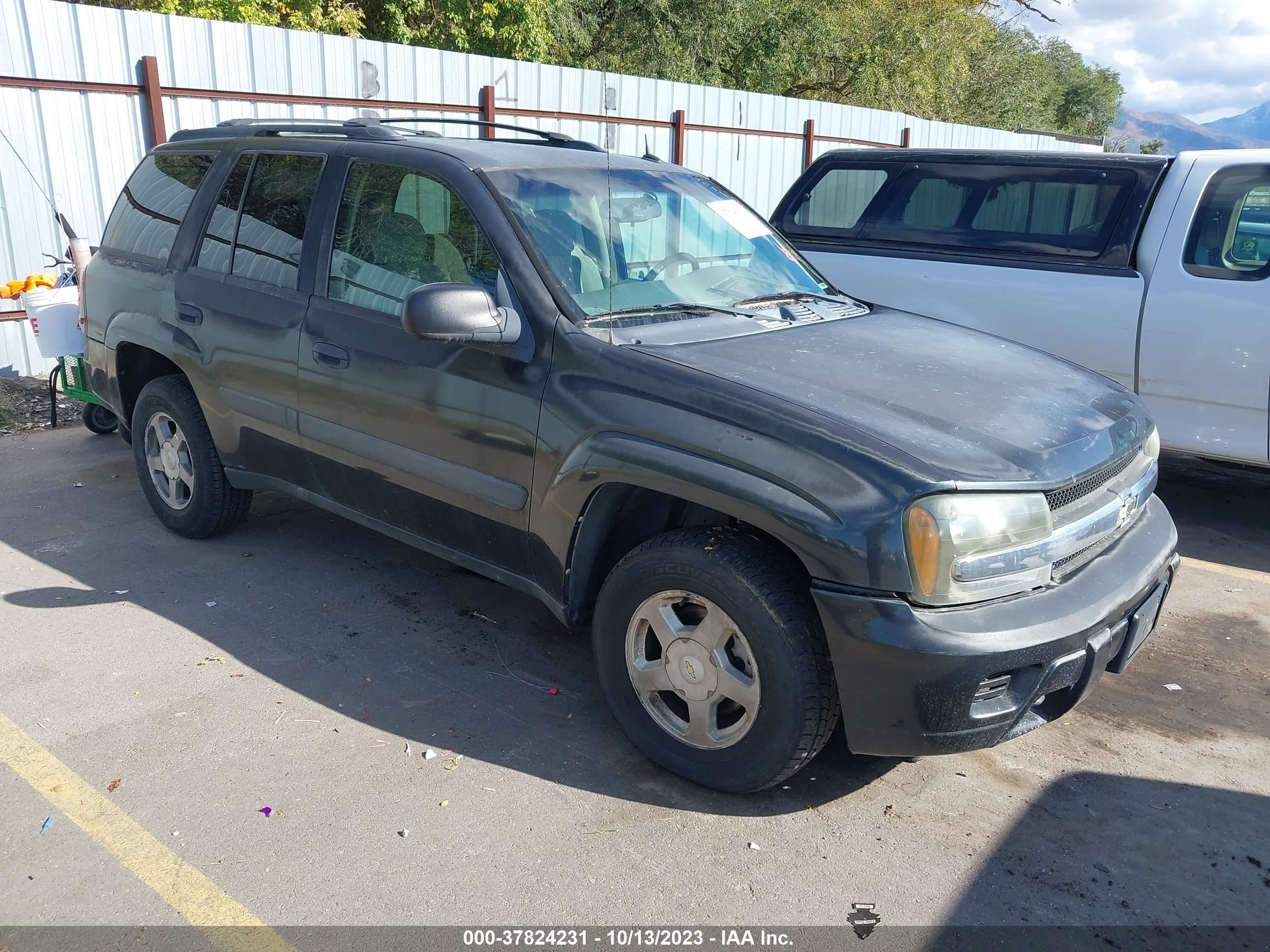 CHEVROLET TRAILBLAZER 2005 1gndt13s752164179