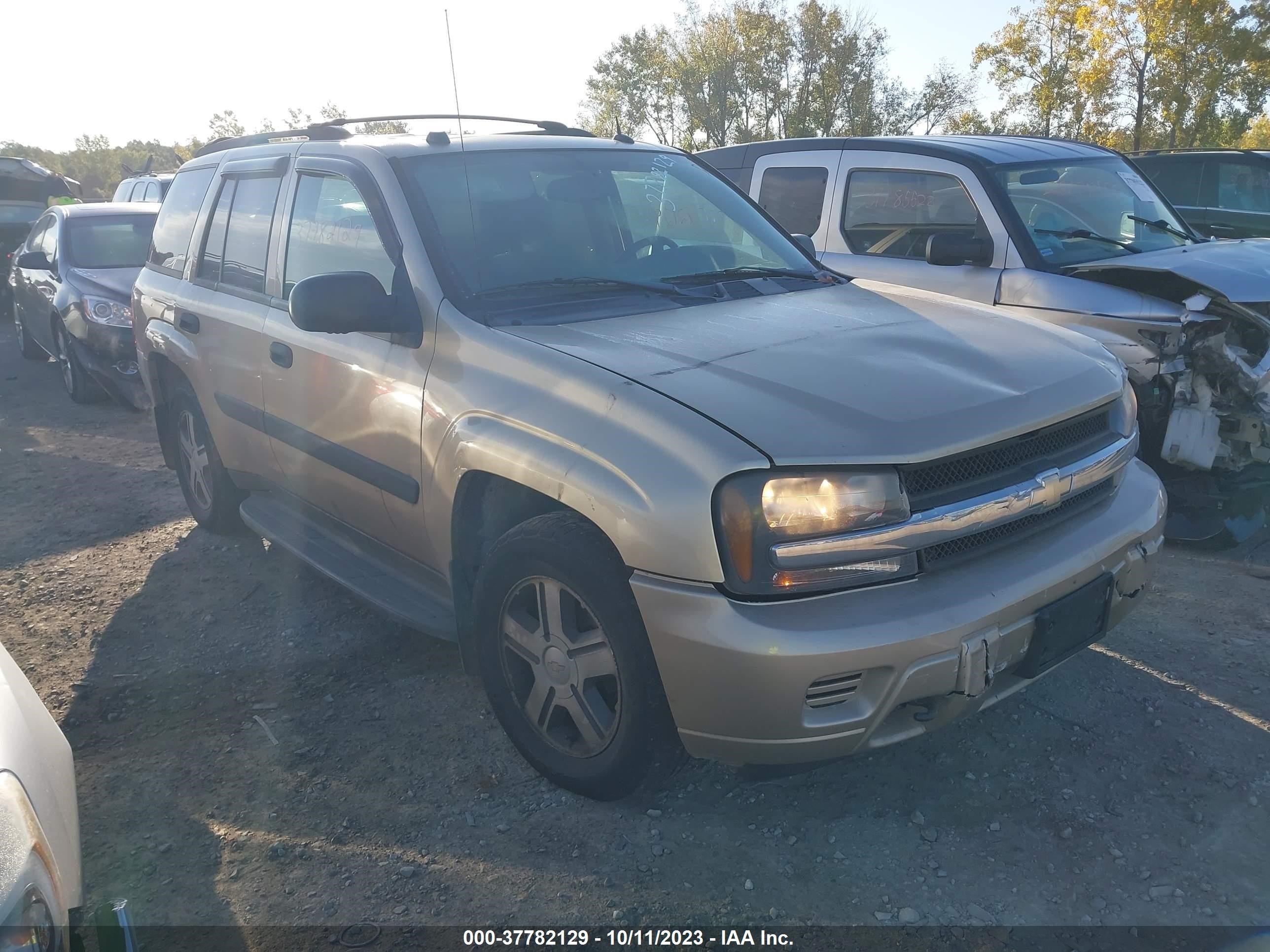 CHEVROLET TRAILBLAZER 2005 1gndt13s752311679