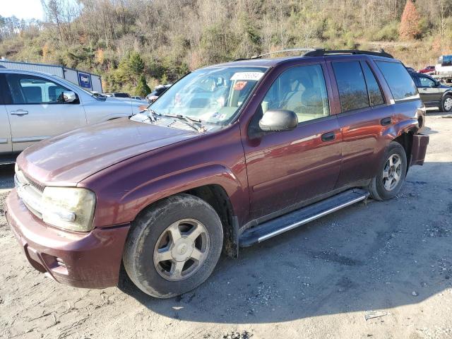 CHEVROLET TRAILBLAZE 2006 1gndt13s762106753