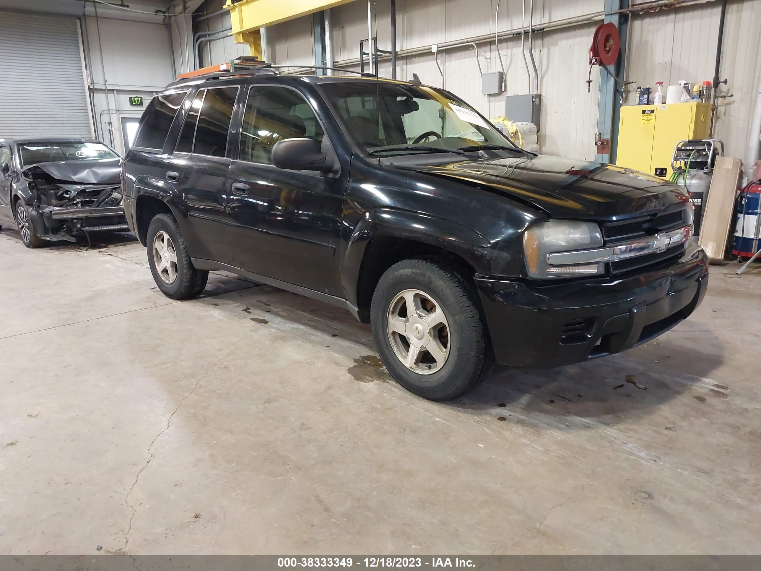 CHEVROLET TRAILBLAZER 2006 1gndt13s762154740