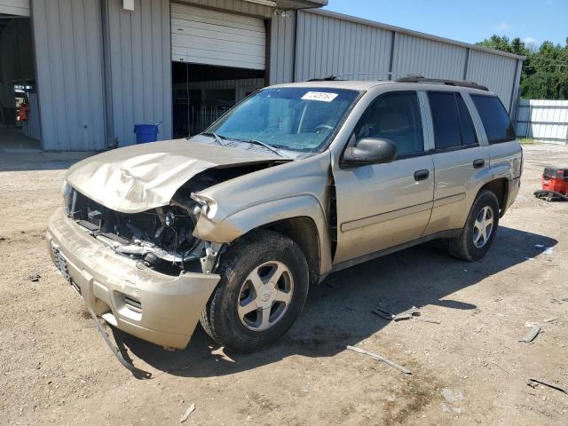 CHEVROLET TRAILBLAZE 2006 1gndt13s762235401