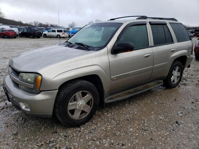 CHEVROLET TRAILBLAZE 2002 1gndt13s822283757