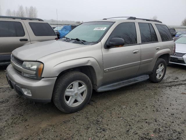 CHEVROLET TRAILBLZR 2002 1gndt13s822376181