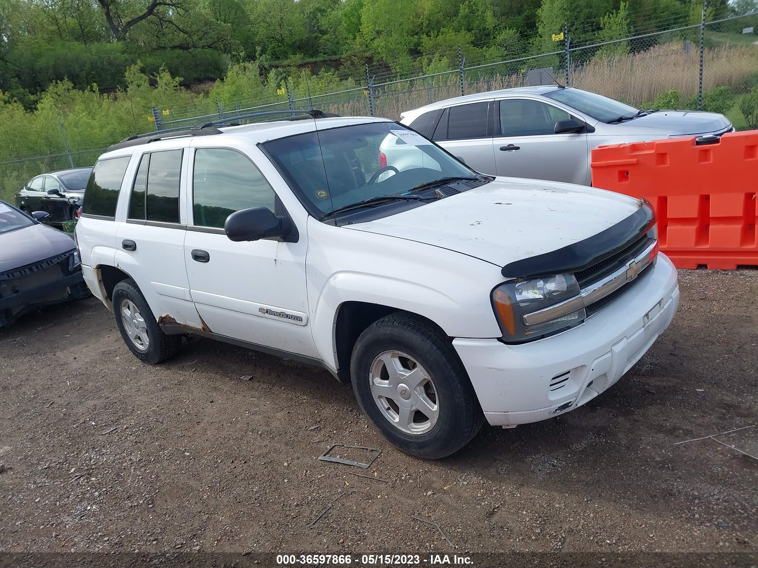 CHEVROLET TRAILBLAZER 2002 1gndt13s822401967