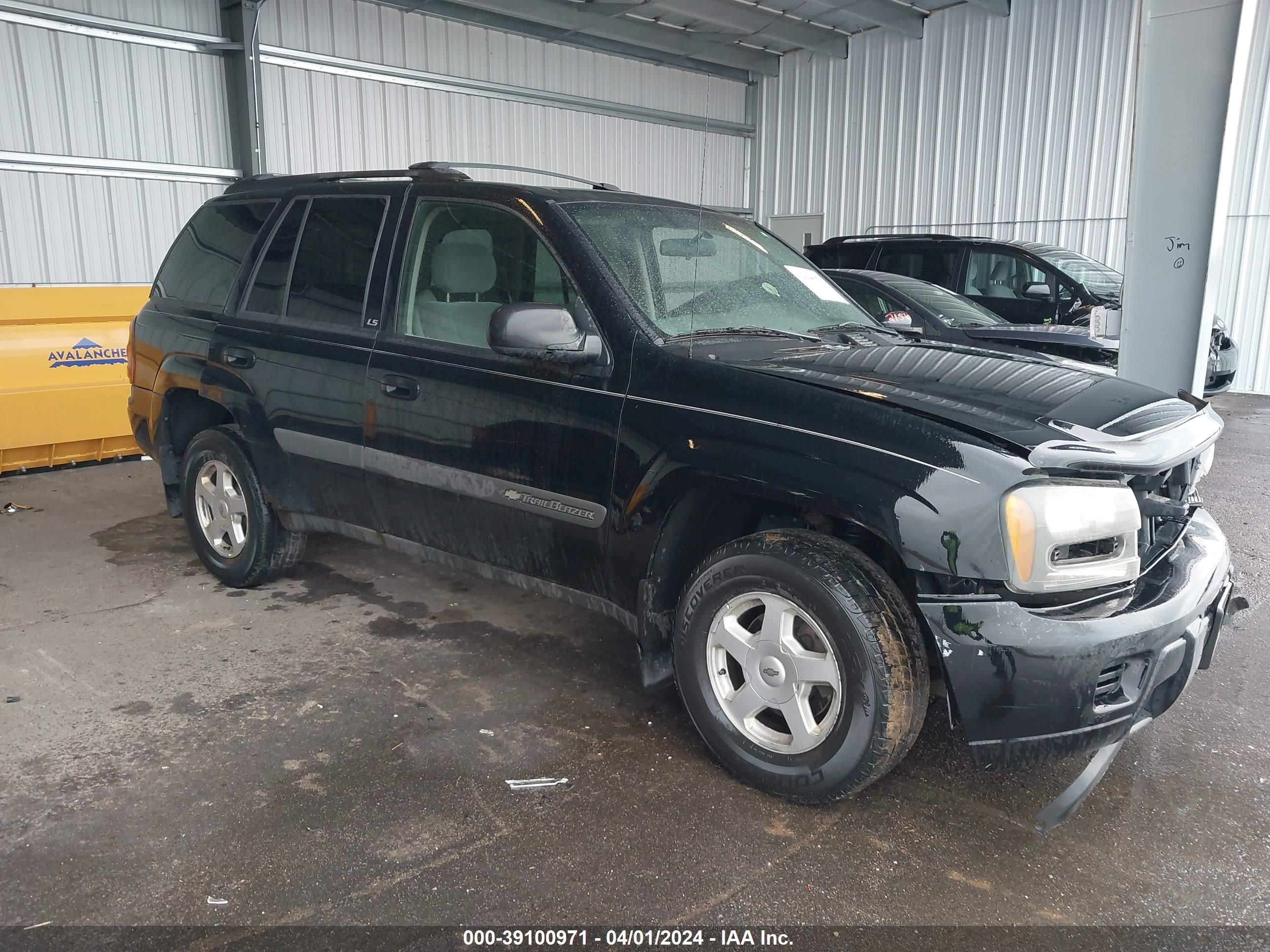 CHEVROLET TRAILBLAZER 2003 1gndt13s832226248