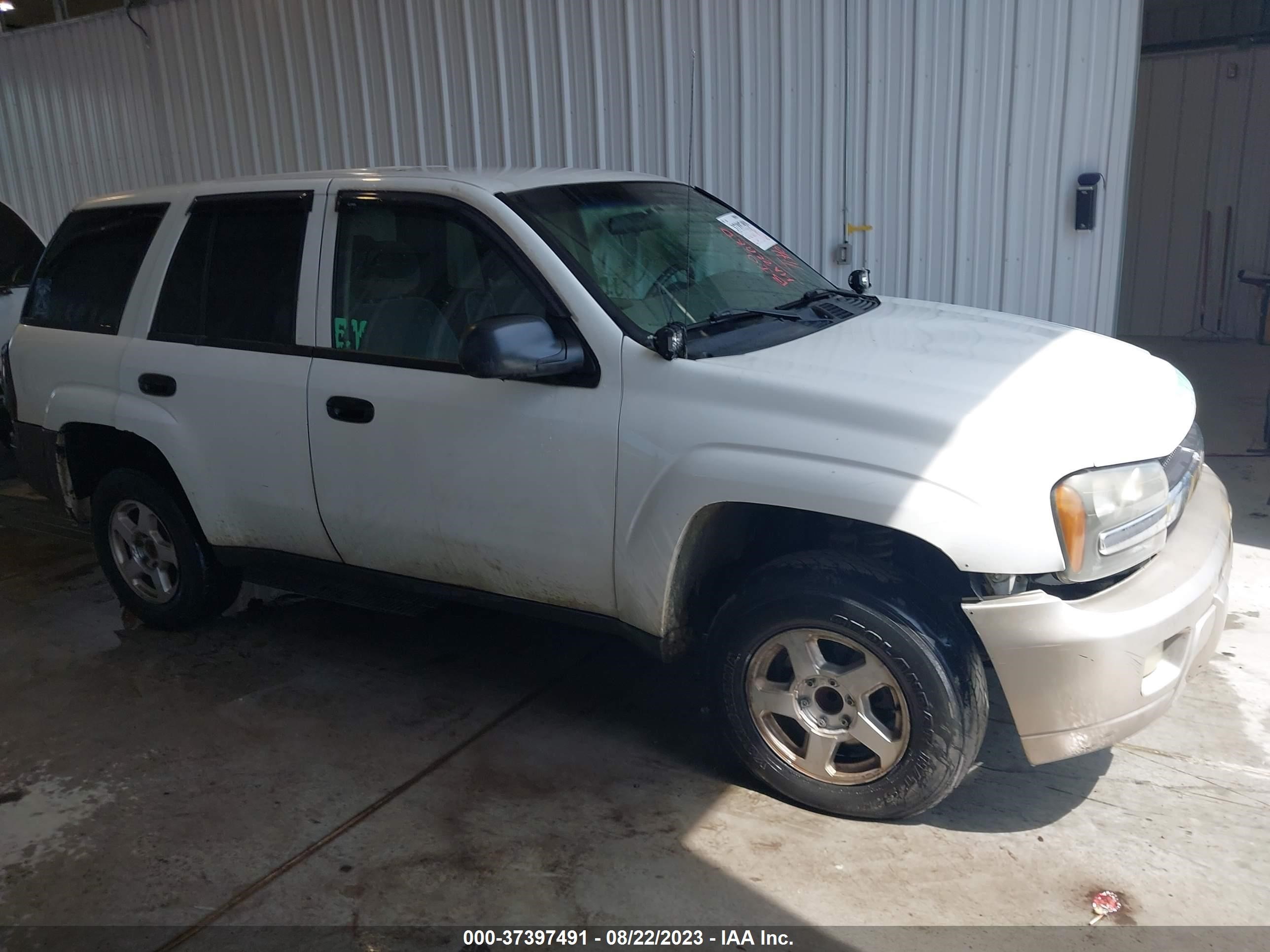 CHEVROLET TRAILBLAZER 2003 1gndt13s832247763