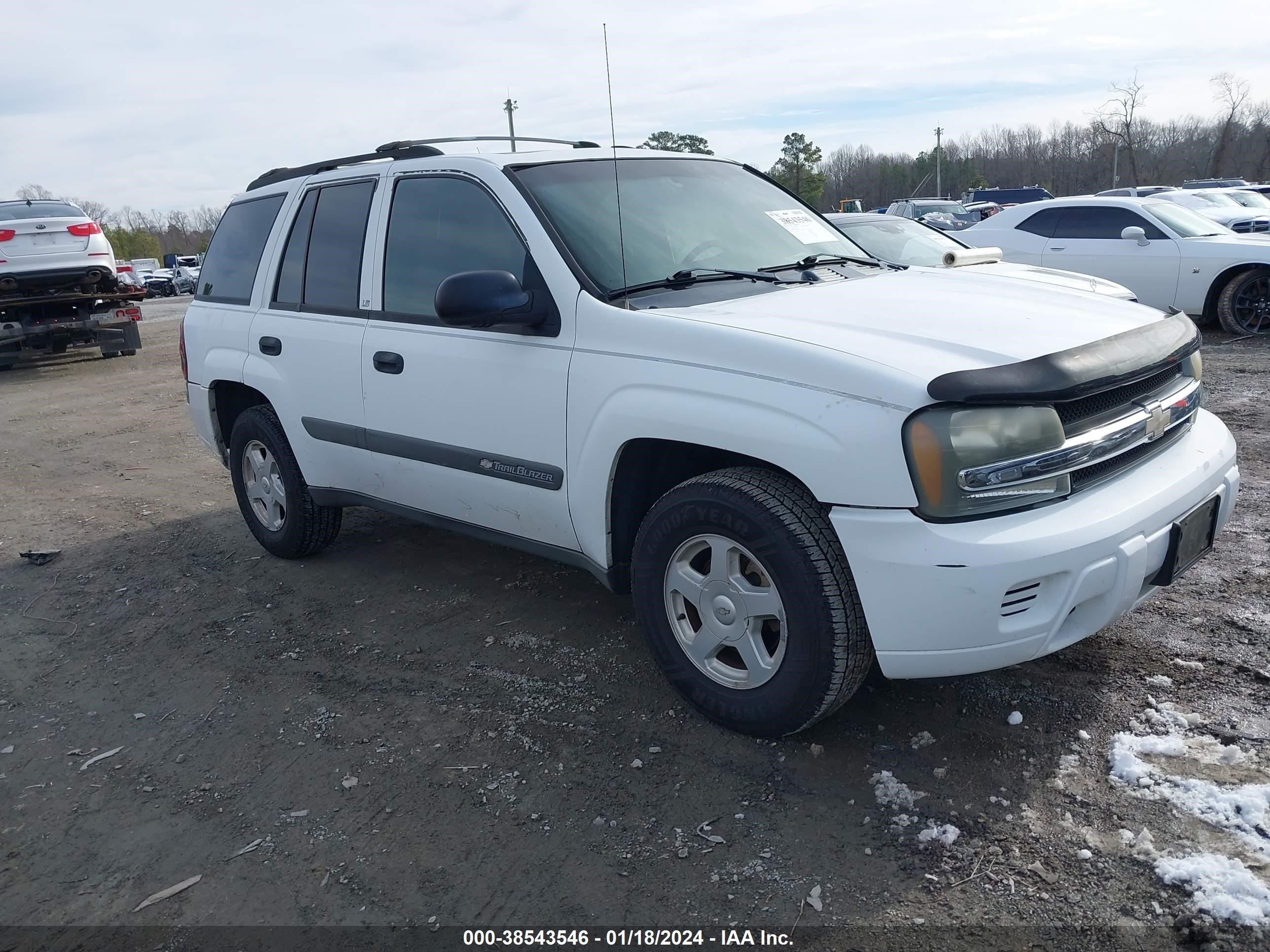 CHEVROLET TRAILBLAZER 2003 1gndt13s832290497