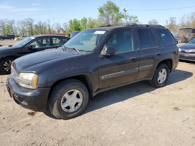 CHEVROLET TRAILBLZR 2003 1gndt13s832313339