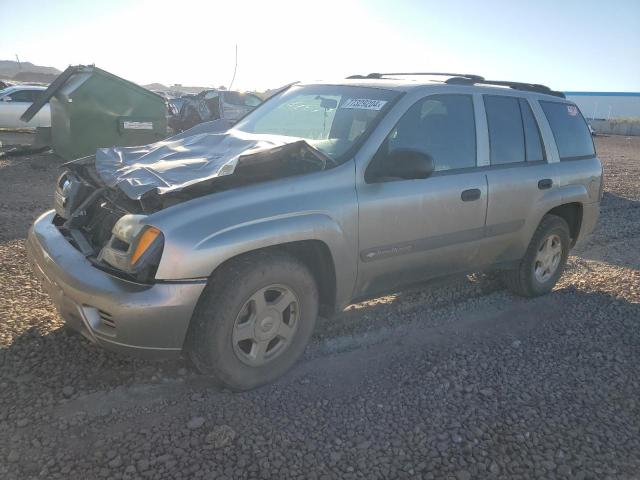 CHEVROLET TRAILBLAZE 2003 1gndt13s832396819