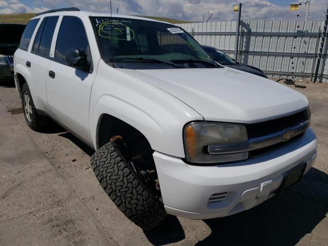 CHEVROLET TRAILBLAZE 2004 1gndt13s842389175