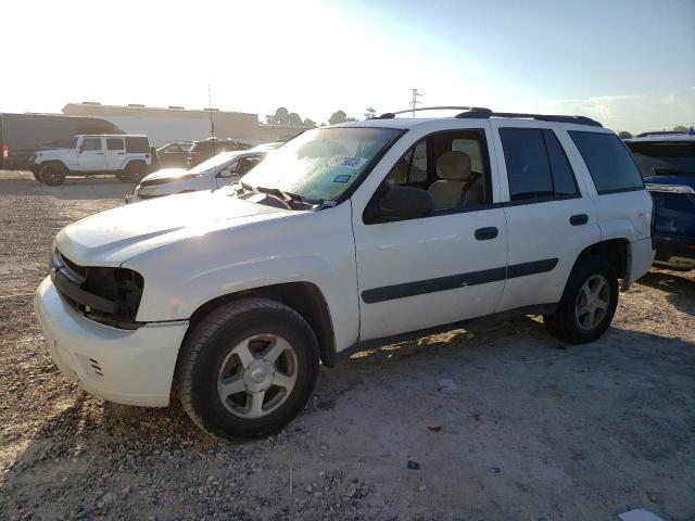 CHEVROLET TRAILBLZR 2005 1gndt13s852206696