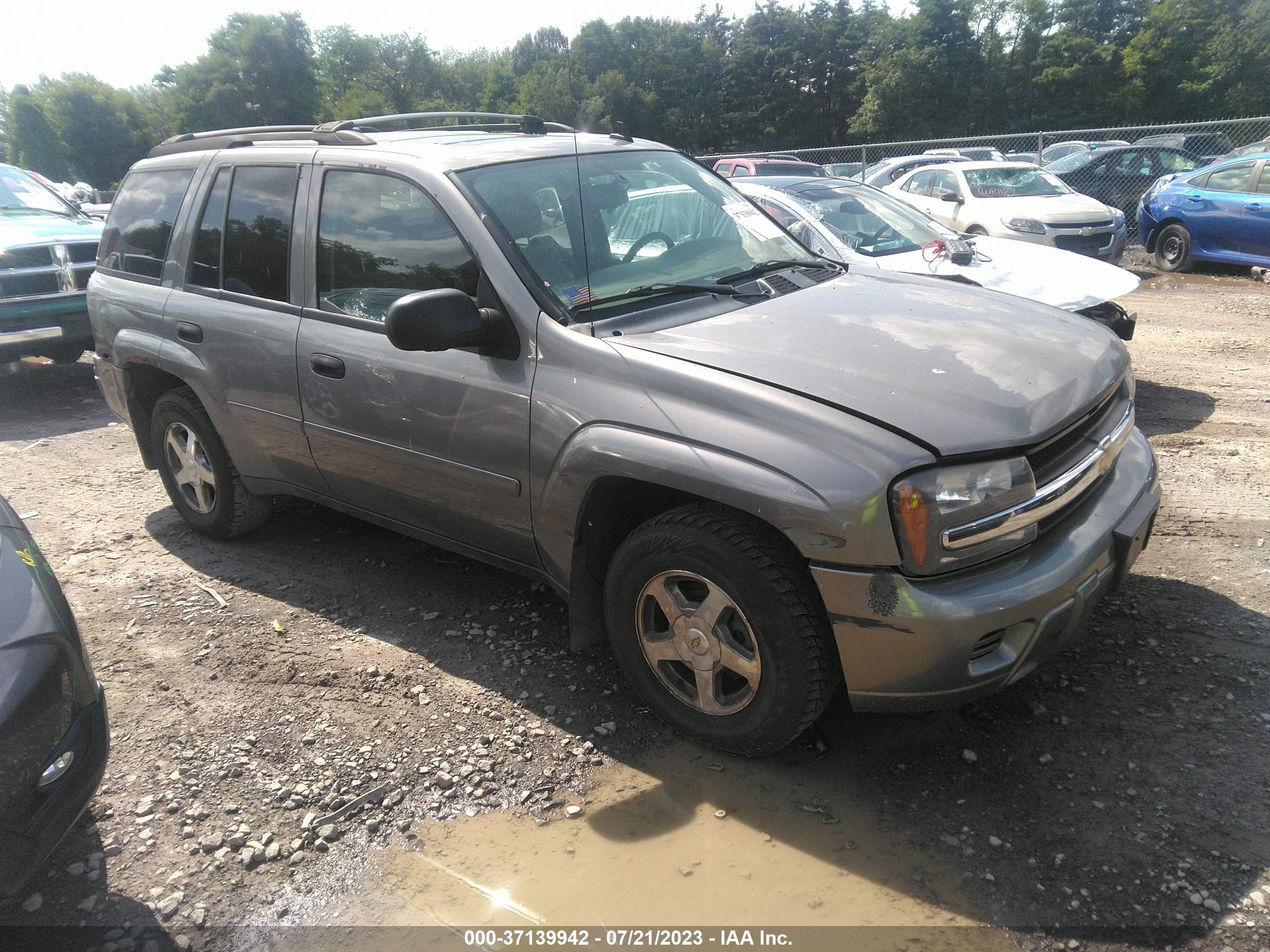 CHEVROLET TRAILBLAZER 2006 1gndt13s862104509