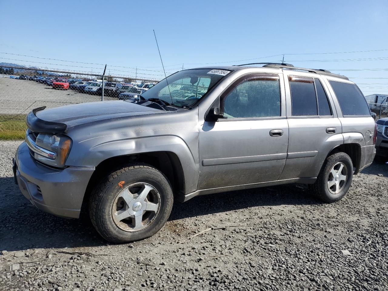 CHEVROLET TRAILBLAZER 2006 1gndt13s862197659