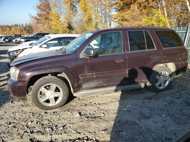 CHEVROLET TRAILBLAZE 2008 1gndt13s882191105