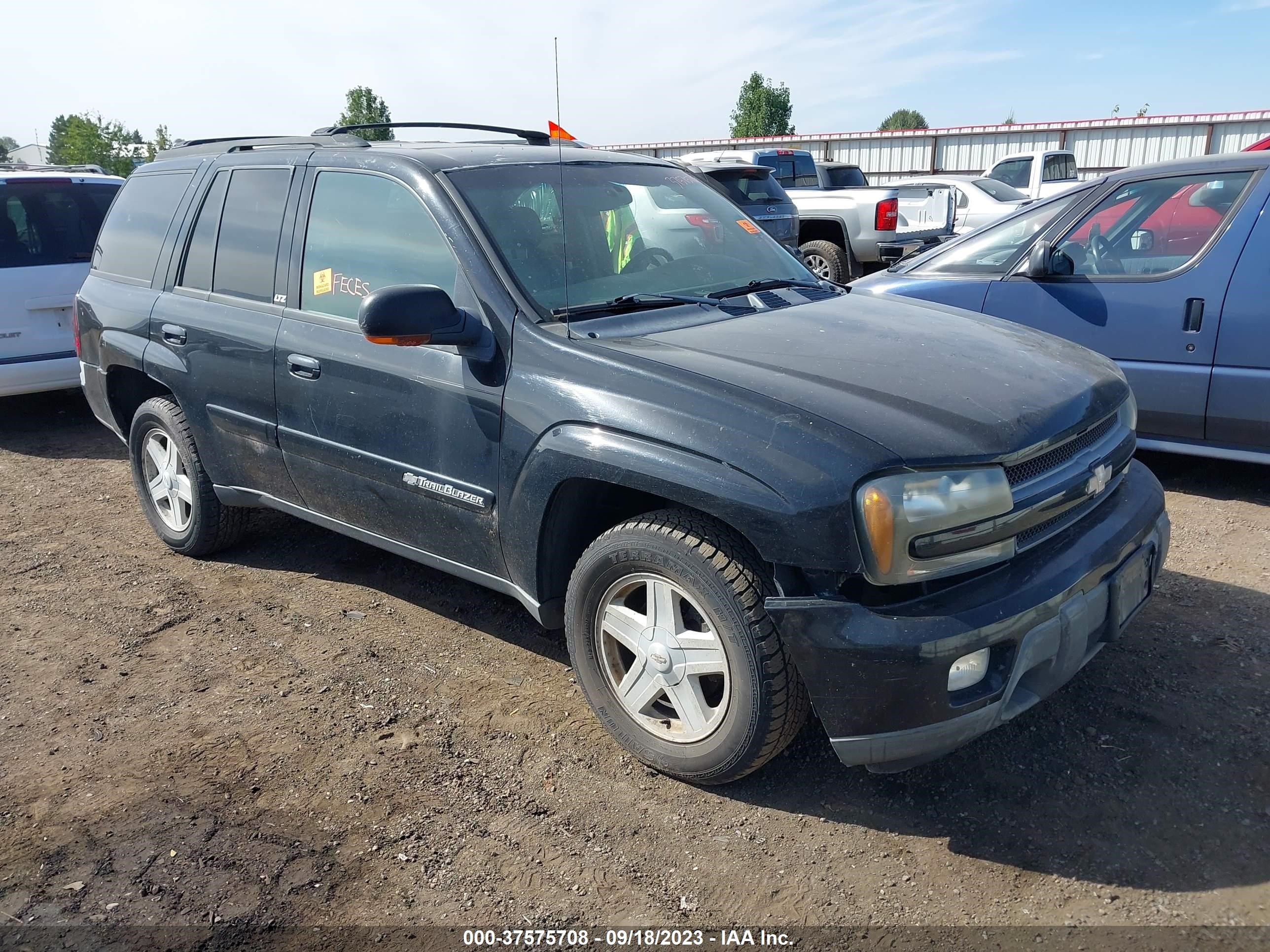 CHEVROLET TRAILBLAZER 2002 1gndt13s922141143