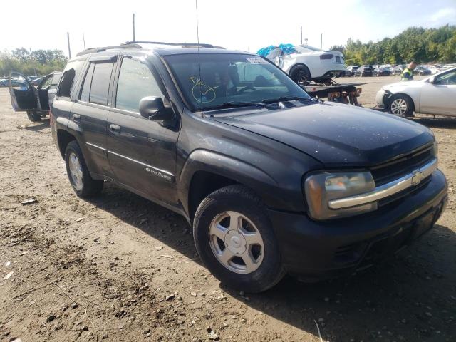 CHEVROLET TRAILBLAZE 2002 1gndt13s922208646