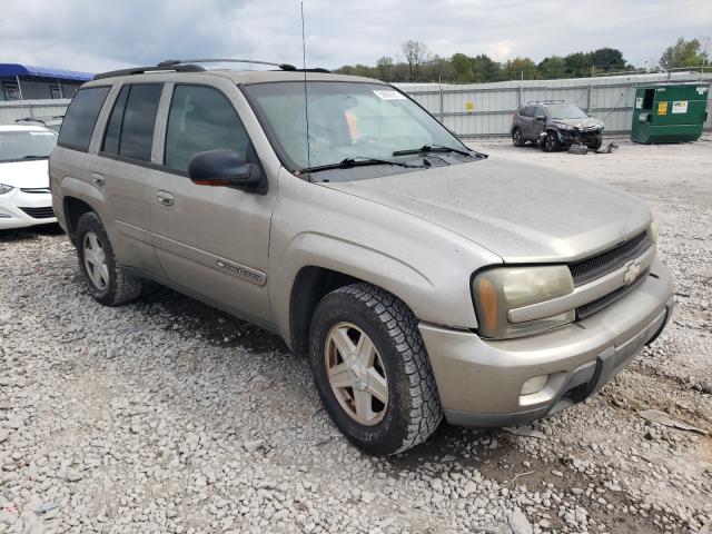 CHEVROLET TRAILBLZR 2002 1gndt13s922388999