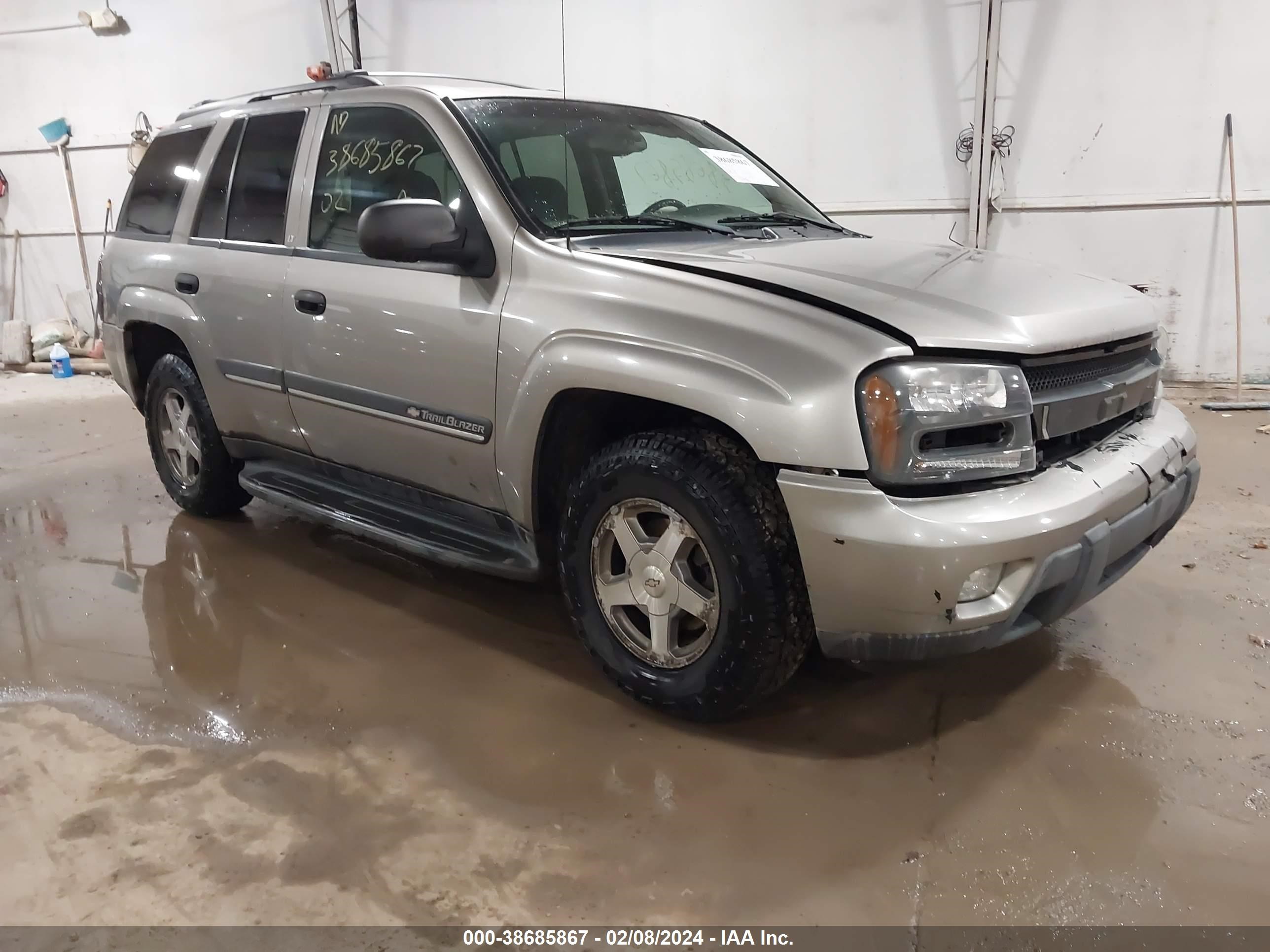 CHEVROLET TRAILBLAZER 2002 1gndt13s922486995