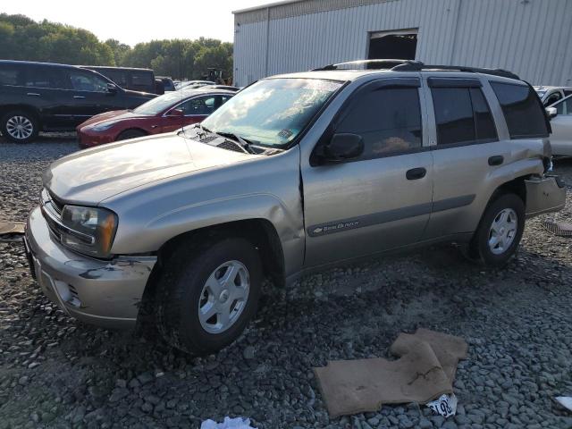 CHEVROLET TRAILBLAZE 2003 1gndt13s932204310