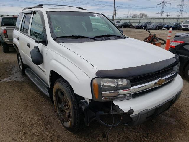 CHEVROLET TRAILBLAZE 2003 1gndt13s932252521