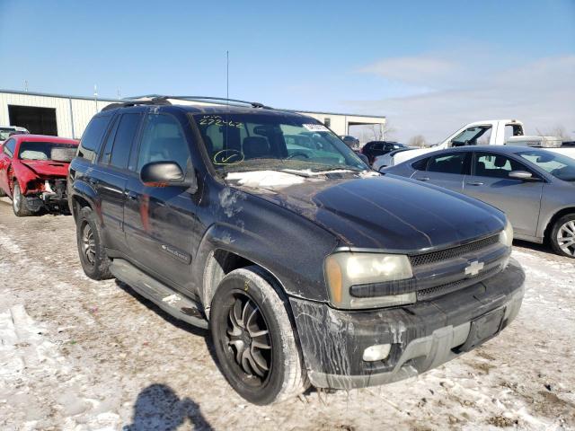 CHEVROLET TRAILBLZR 2003 1gndt13s932272462