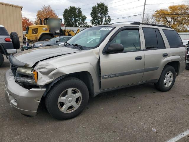 CHEVROLET TRAILBLZR 2003 1gndt13s932381018