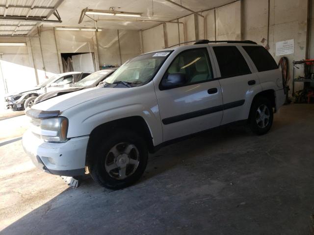 CHEVROLET TRAILBLAZE 2005 1gndt13s952229338