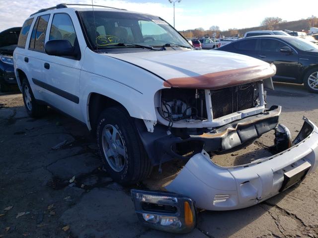 CHEVROLET TRAILBLAZE 2005 1gndt13s952303602