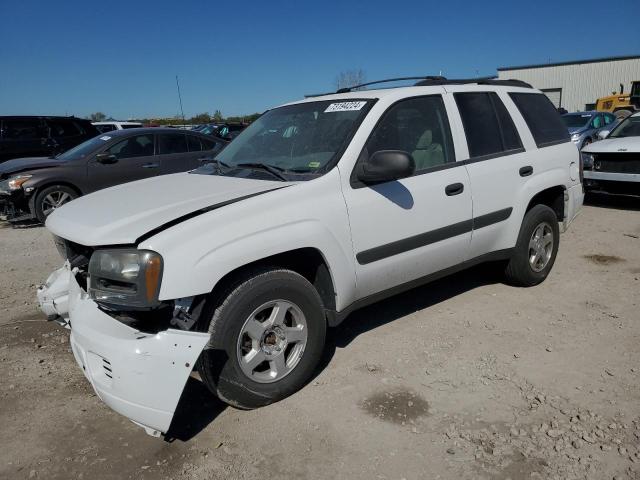 CHEVROLET TRAILBLAZE 2005 1gndt13s952323283