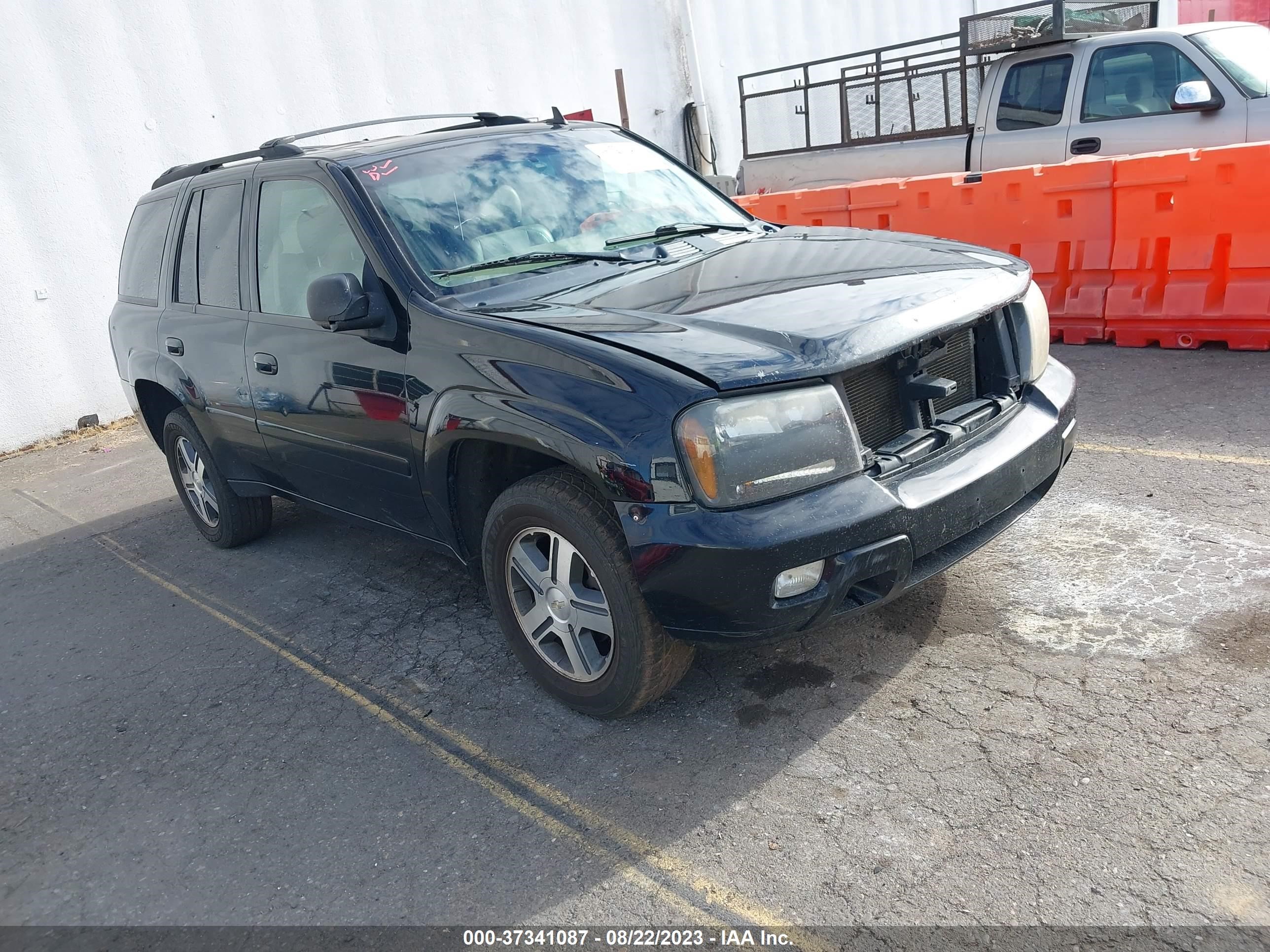 CHEVROLET TRAILBLAZER 2006 1gndt13s962172236