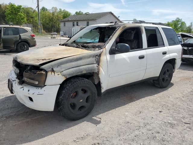 CHEVROLET TRAILBLZR 2006 1gndt13s962343017