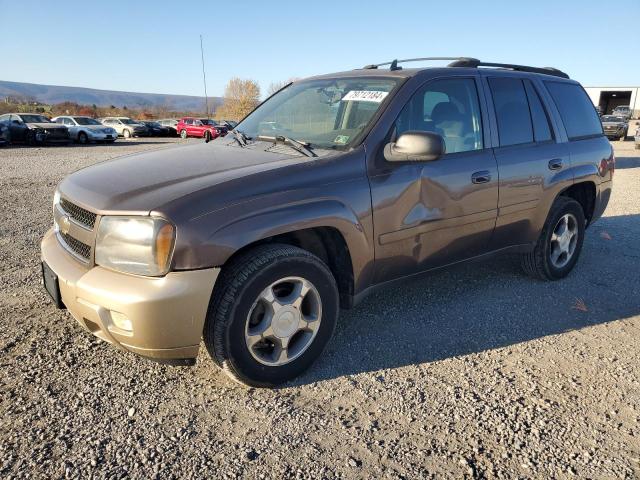 CHEVROLET TRAILBLAZE 2008 1gndt13s982123587