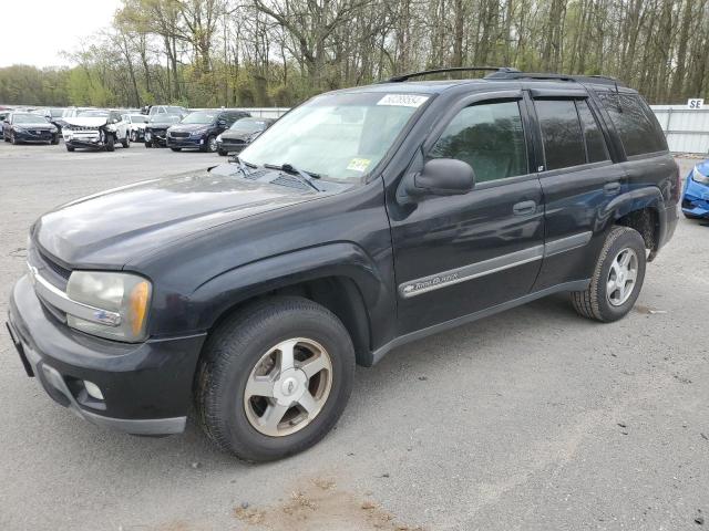 CHEVROLET TRAILBLZR 2002 1gndt13sx22131138