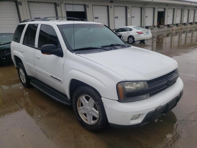 CHEVROLET TRAILBLAZE 2002 1gndt13sx22233748