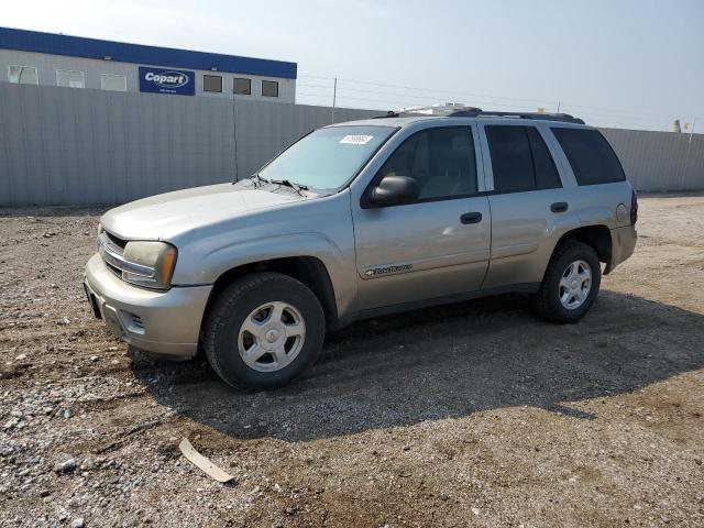 CHEVROLET TRAILBLAZE 2002 1gndt13sx22282819