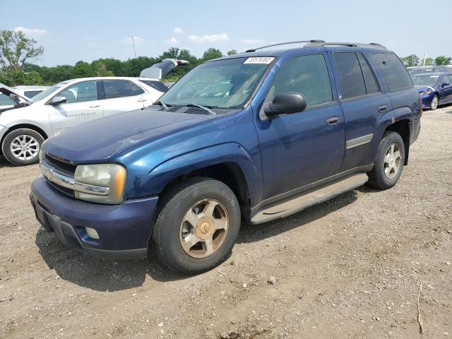 CHEVROLET TRAILBLZR 2002 1gndt13sx22424117