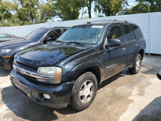 CHEVROLET TRAILBLAZE 2003 1gndt13sx32253502