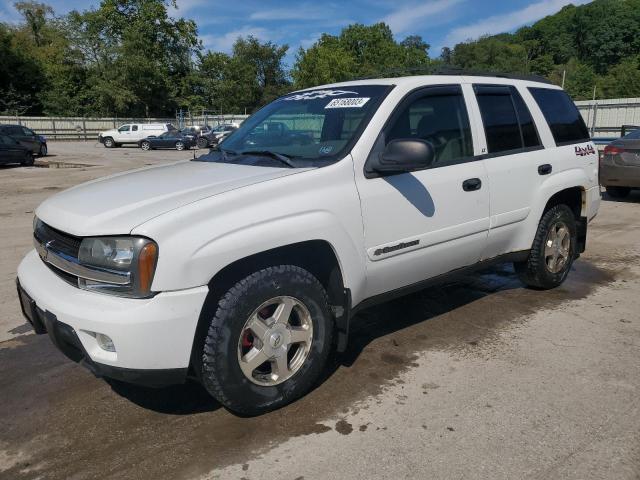 CHEVROLET TRAILBLAZE 2003 1gndt13sx32344107